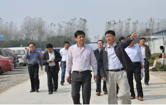 IBCBETɳ�͹���