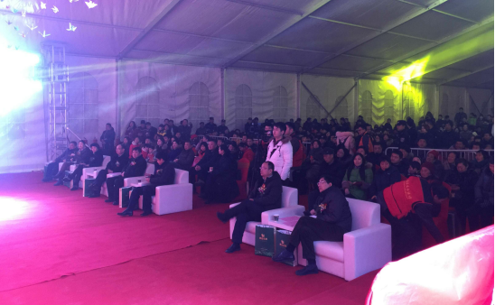 IBCBETɳ�͹���