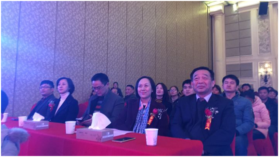 IBCBETɳ�͹���