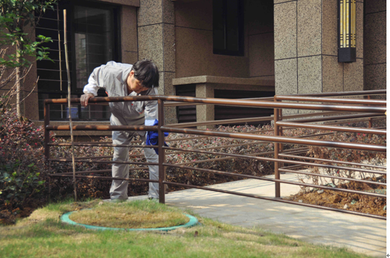 IBCBETɳ�͹���