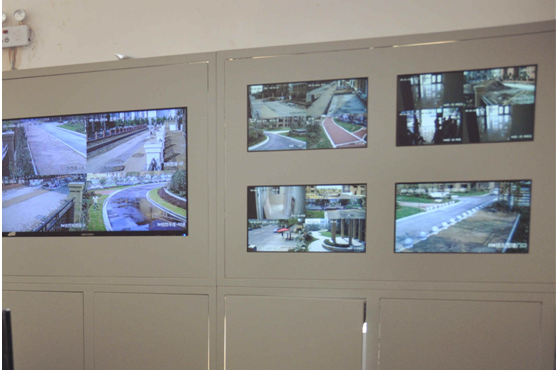 IBCBETɳ�͹���