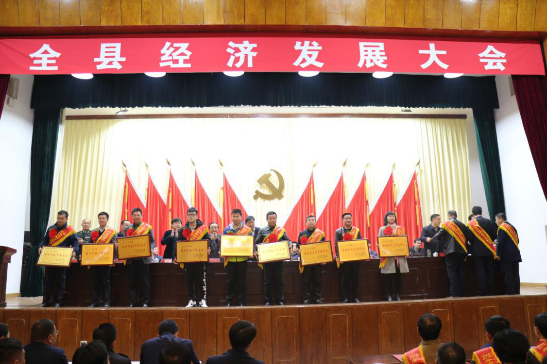 IBCBETɳ�͹���