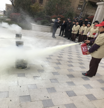 IBCBETɳ�͹���