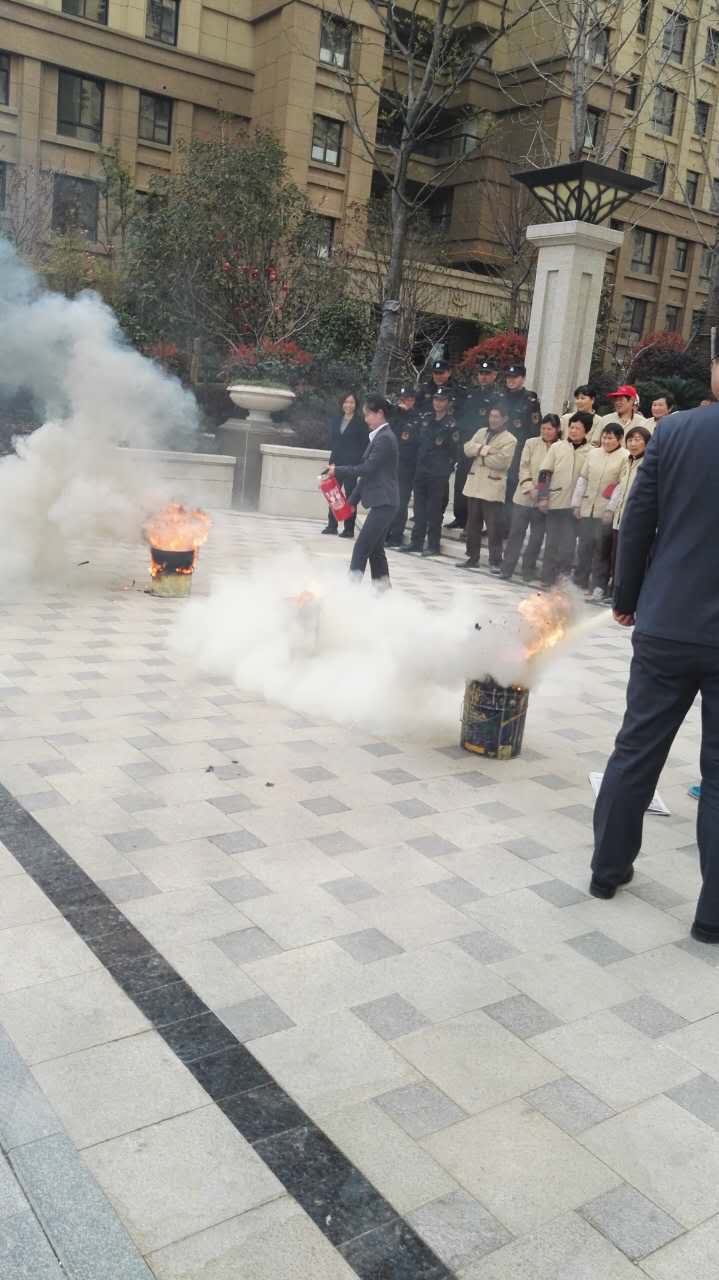 IBCBETɳ�͹���