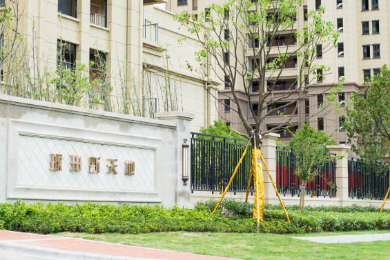 IBCBETɳ�͹���