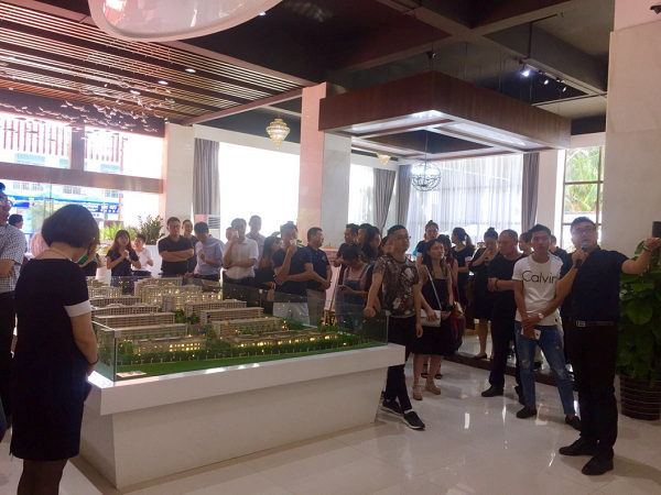 IBCBETɳ�͹���