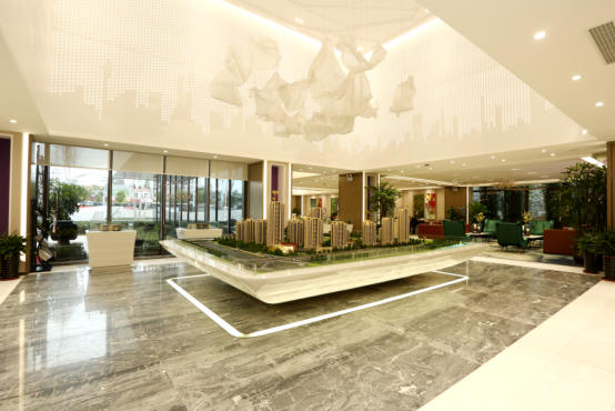 IBCBETɳ�͹���