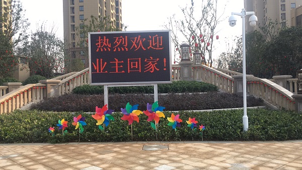 IBCBETɳ�͹���