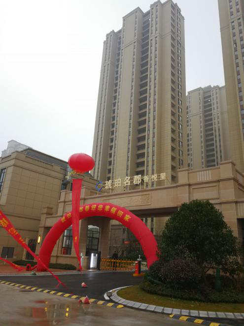 IBCBETɳ�͹���