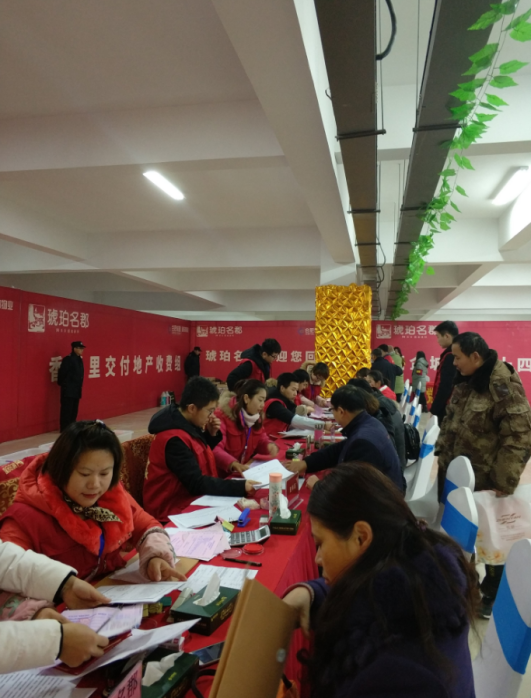 IBCBETɳ�͹���