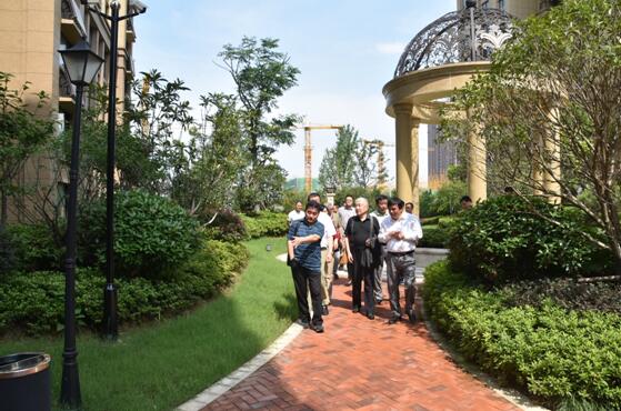 IBCBETɳ�͹���