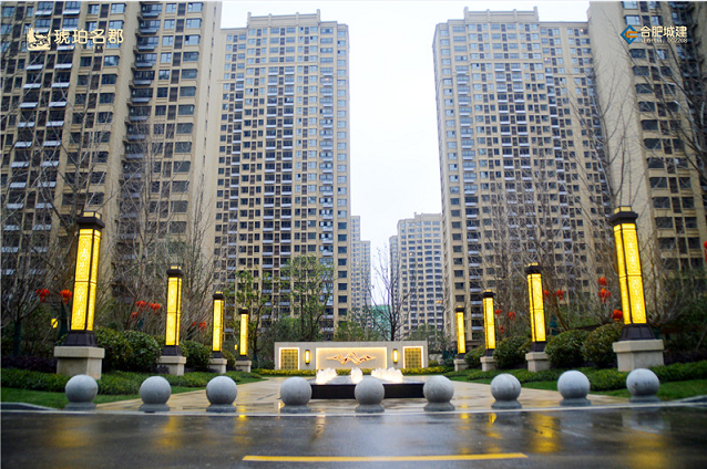 IBCBETɳ�͹���