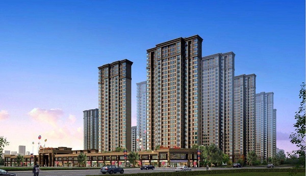 IBCBETɳ�͹���