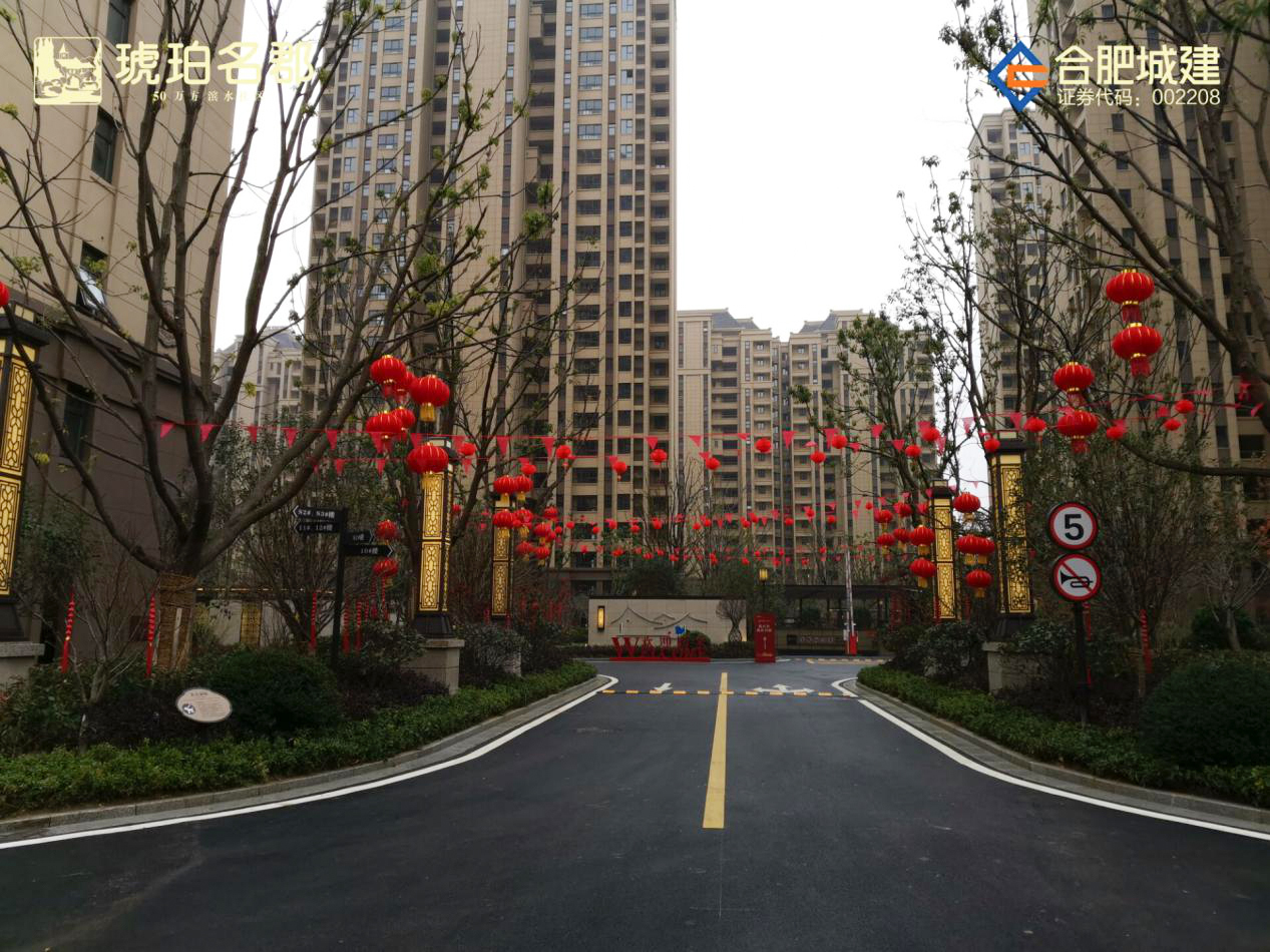 IBCBETɳ�͹���