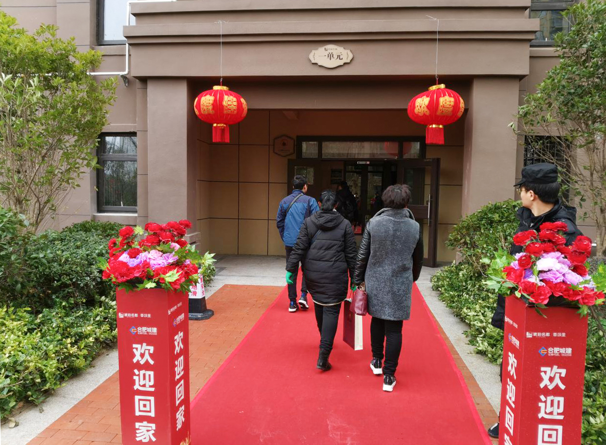 IBCBETɳ�͹���