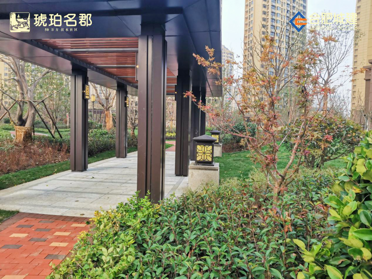 IBCBETɳ�͹���