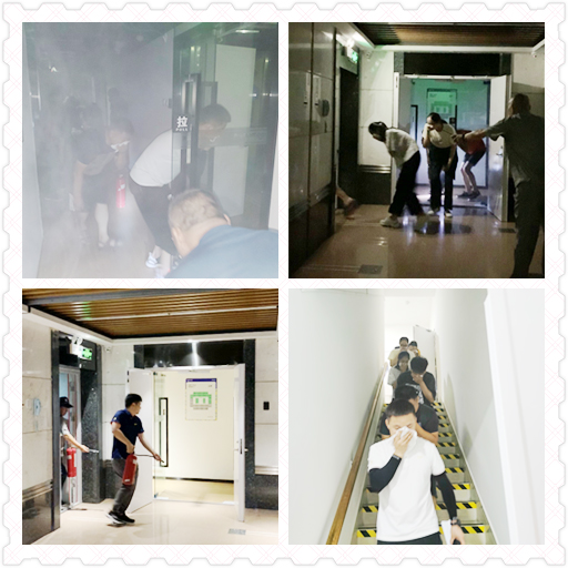 IBCBETɳ�͹���