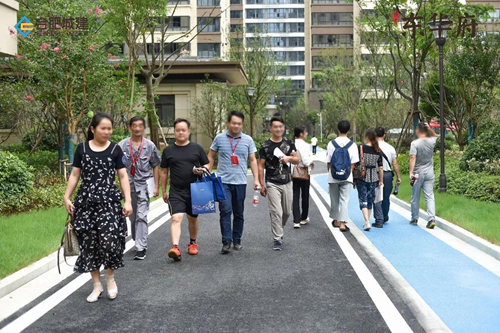 IBCBETɳ�͹���