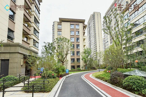 IBCBETɳ�͹���