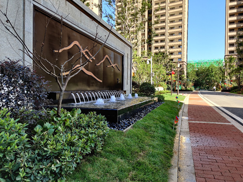 IBCBETɳ�͹���