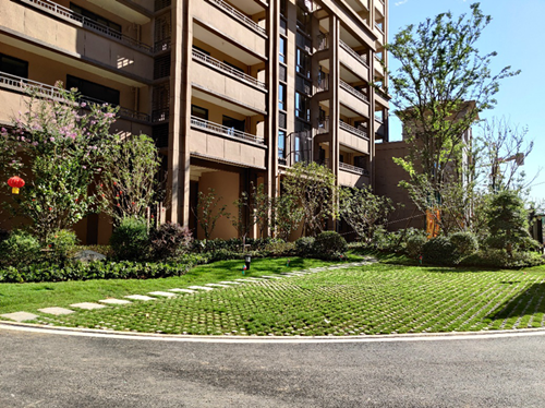 IBCBETɳ�͹���