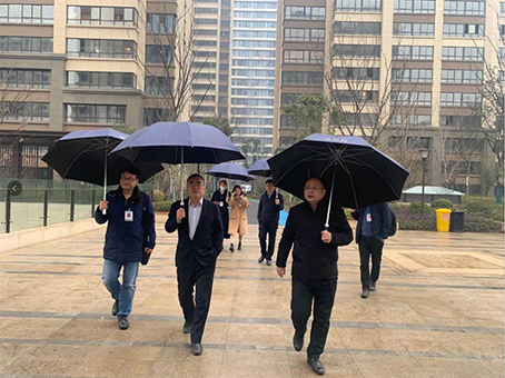 IBCBETɳ�͹���