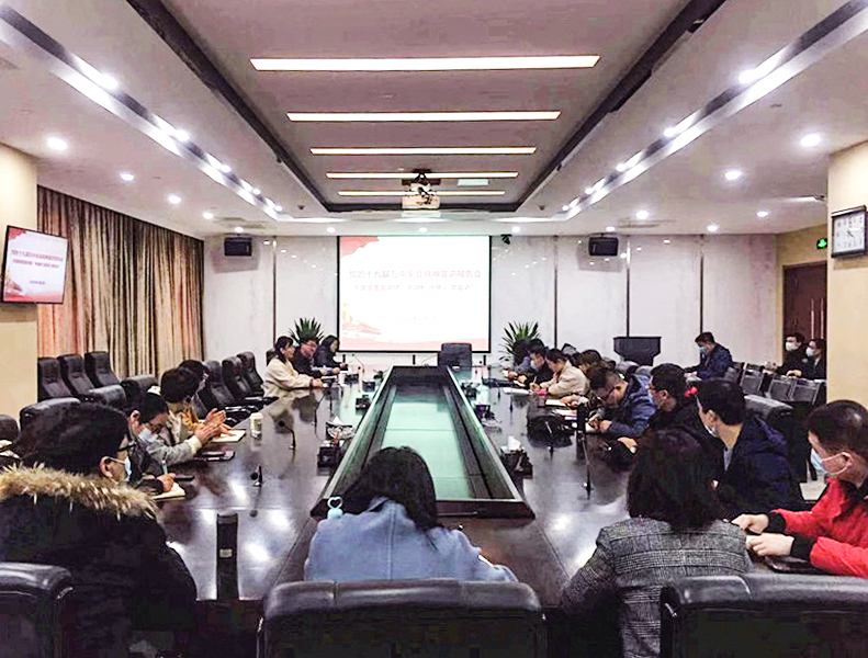 IBCBETɳ�͹���