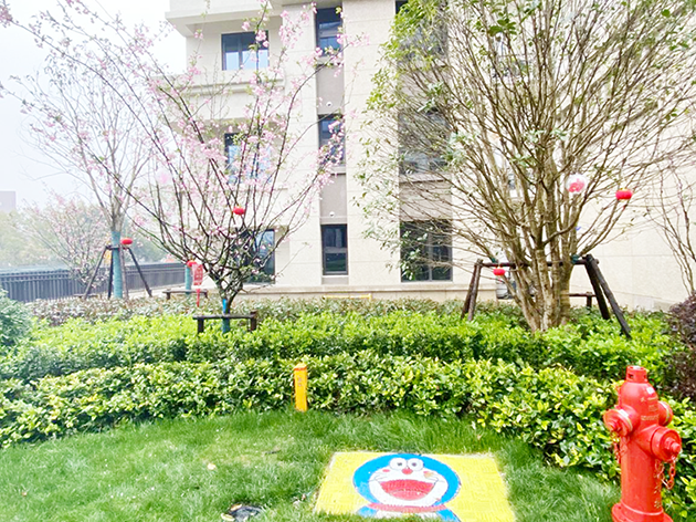 IBCBETɳ°Í¹ÙÍø