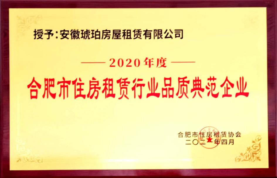 IBCBETɳ�͹���