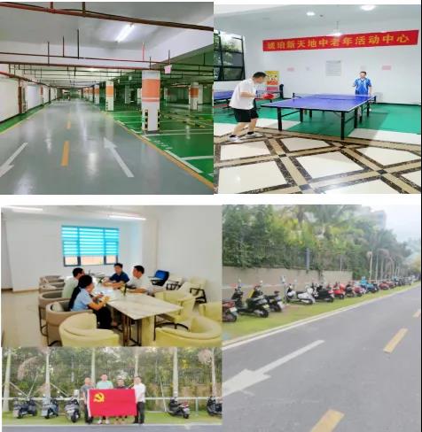 IBCBETɳ�͹���