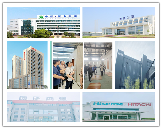 IBCBETɳ�͹���