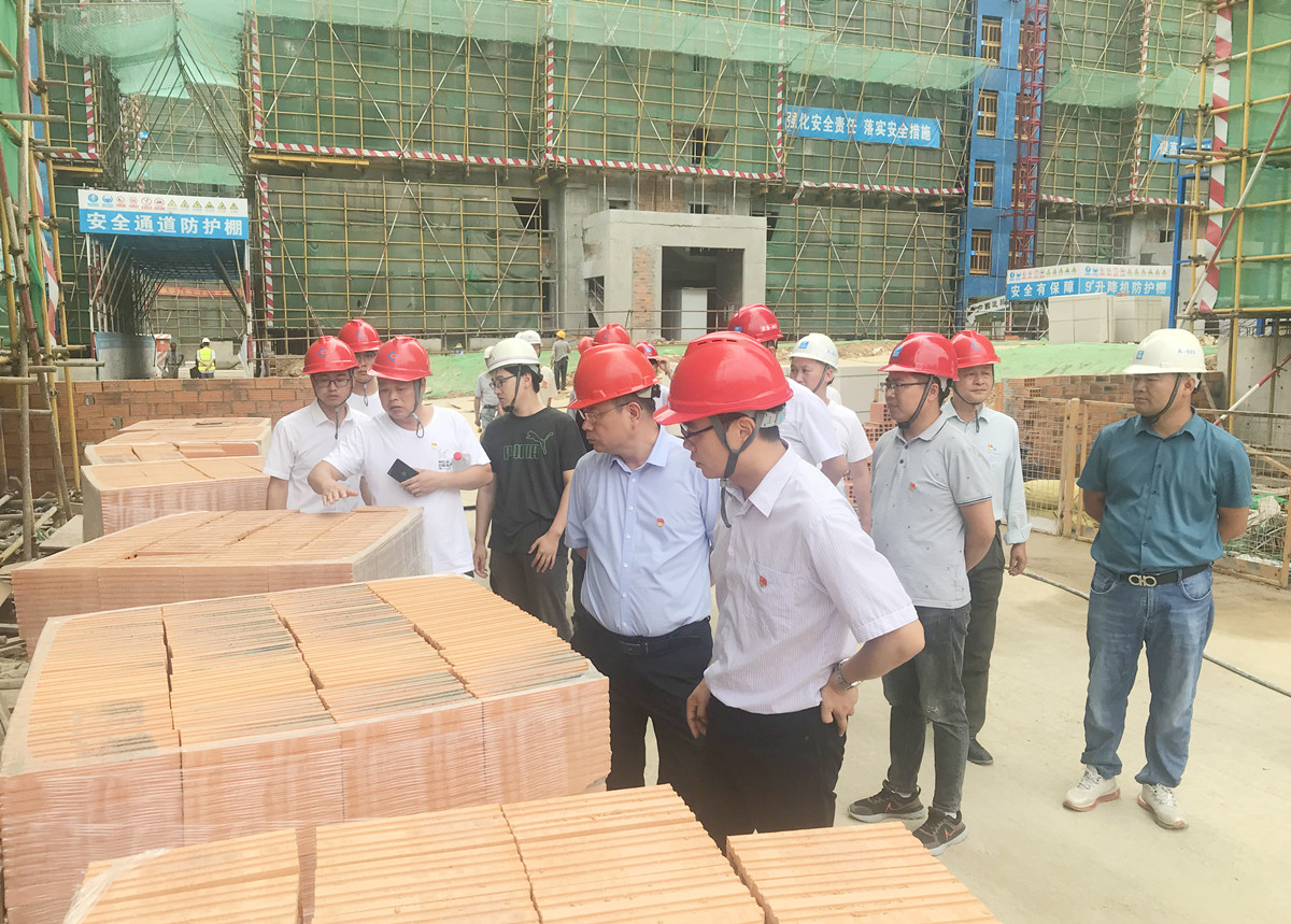 IBCBETɳ�͹���