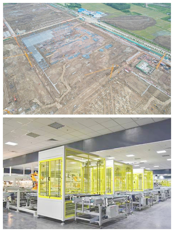 IBCBETɳ�͹���