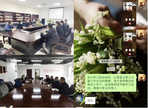 IBCBETɳ�͹���