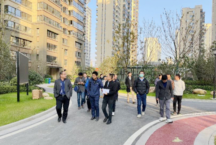 IBCBETɳ�͹���