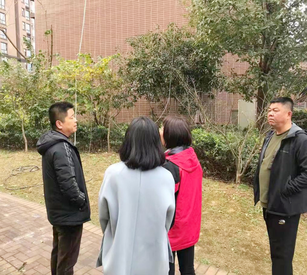 IBCBETɳ�͹���