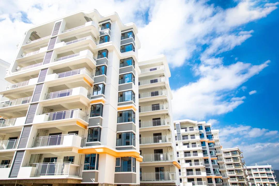 IBCBETɳ�͹���