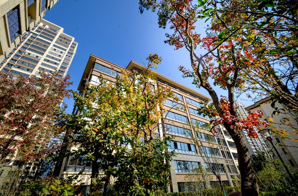 IBCBETɳ�͹���